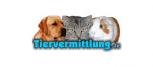 Tiervermittlung