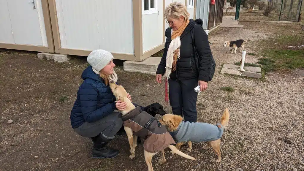 Helferinnen mit Hunden im Tierheim