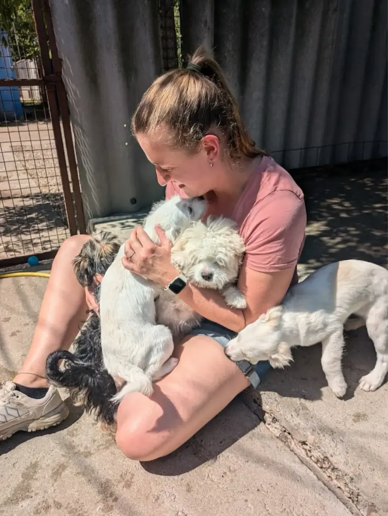Helferin mit Hunden im Tierheim