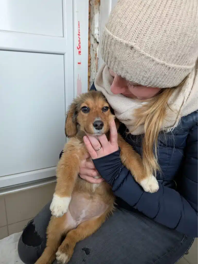 Helferin mit Hund im Tierheim Siófok